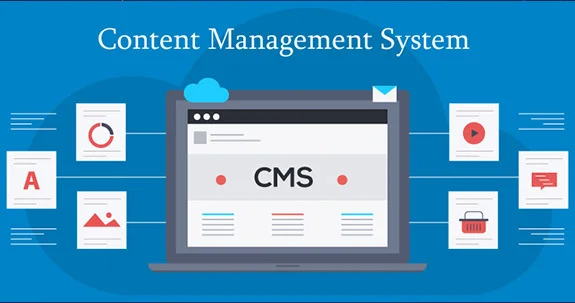 best content management system company in ludhiana